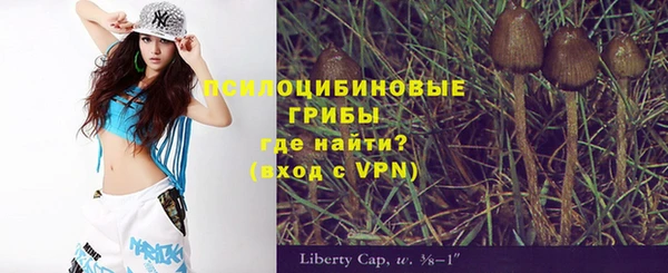 шишки Гусь-Хрустальный