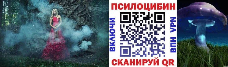 Псилоцибиновые грибы мухоморы  купить наркоту  Сорск 